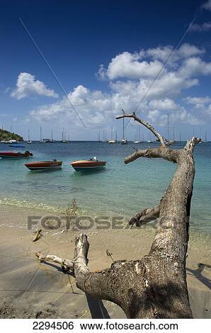 Caribbean, Grenada, Grenadines, View of Tyrrel Bay; Carriacou Island View Large Photo Image Stock Photograph - Caribbean, Grenada, Grenadines, View of Tyrrel Bay; Carriacou Island. Fotosearch