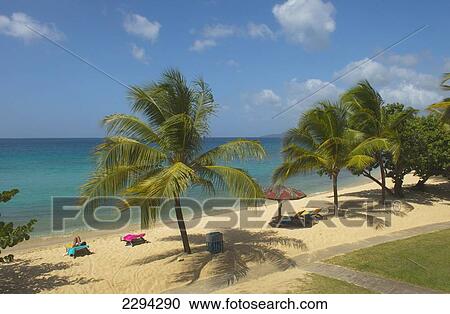Stock Image - Caribbean, Magazine Beach; Grenada. Fotosearch