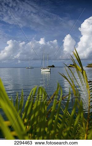 Stock Image - Caribbean, Sailboats at True Blue Bay; Grenada. Fotosearch