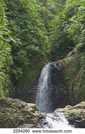 Caribbean, Seven Sisters Waterfall; Grenada View Large Photo Image Stock Image - Caribbean, Seven Sisters Waterfall; Grenada. Fotosearch