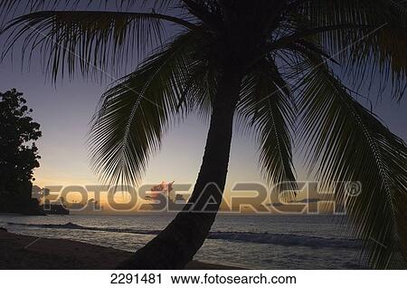 Caribbean, Sunset over Magazine Beach; Grenada View Large Photo Image Stock Image - Caribbean, Sunset over Magazine Beach; Grenada. Fotosearch