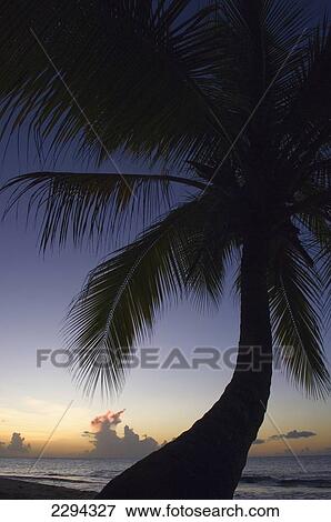 Caribbean, Sunset over Magazine Beach; Grenada View Large Photo Image Stock Photo - Caribbean, Sunset over Magazine Beach; Grenada. Fotosearch