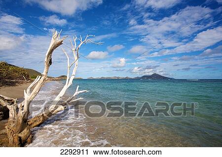 Stock Image - Caribbean, View of St Kitts island; St Kitts and Nevis. Fotosearch