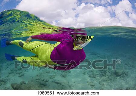 Caribbean, Woman Free Diving In Turquoise Ocean; Bonaire View Large Photo Image Stock Image - Caribbean, Woman Free Diving In Turquoise Ocean; Bonaire. Fotosearch