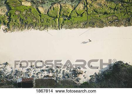 Carrageenan Seaweed Harvesting, Bukit Peninsula, Bali, Indonesia View Large Photo Image Picture - Carrageenan Seaweed Harvesting, Bukit Peninsula, Bali, Indonesia. Fotosearch