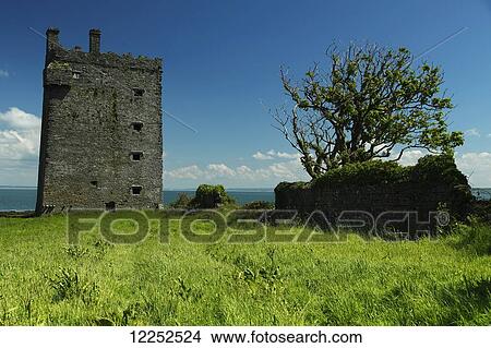 Picture - Carrigaholt Castle on the Wild Atlantic Way coastal route; County Clare, Ireland. Fotosearch