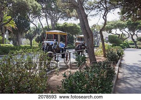 Carrozins (Horse Carriages), Mdina, Malta View Large Photo Image Stock Image - Carrozins (Horse Carriages), Mdina, Malta. Fotosearch