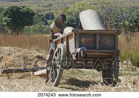 Stock Image - Cart In Isalo National Park, Fianarantsoa Province, Madagascar. Fotosearch