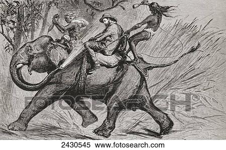 Cartoon of the Victorian era showing Albert Edward Prince of Wales, future King Edward VII, riding an elephant and being sprayed with water from its trunk. From Edward VII His Life and Times, published 1910. View Large Photo Image Stock Photography - Cartoon of the Victorian era showing Albert Edward Prince of Wales, future King Edward VII, riding an elephant and being sprayed with water from its trunk. From Edward VII His Life and Times, published 1910.. Fotosearch