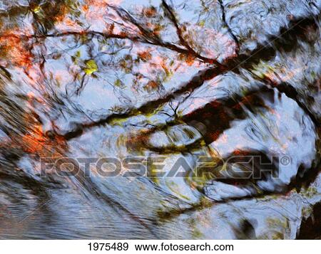 Stock Photo - Casper, Massachusetts, Seekonk, Caratunk Wildlife Refuge, Ripples And Reflections On Water Surface.. Fotosearch