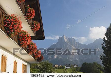 Stock Image - Castelrotto, Alto Adige, Italy; Flower Boxes On The Side Of An Alpine House With Mountains In The Background. Fotosearch