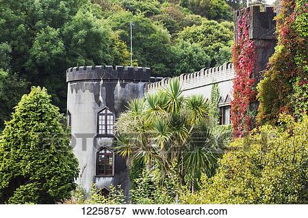 Stock Photo - Castle turret and red ivy climbing stone turret with palm tree and tree covered hillside in background; Clifden, County Galway, Ireland. Fotosearch