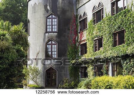 Stock Photograph - Castle turret with windows and castle wall covered with ivy; Clifden, County Galway, Ireland. Fotosearch