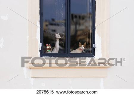 Cat And Porcelain Cats In A Window, Marsaxlokk, Malta View Large Photo Image Stock Photography - Cat And Porcelain Cats In A Window, Marsaxlokk, Malta. Fotosearch