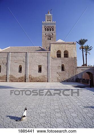 Cat In Square Beside The Koutoubia Mosque And Minaret View Large Photo Image Stock Image - Cat In Square Beside The Koutoubia Mosque And Minaret. Fotosearch