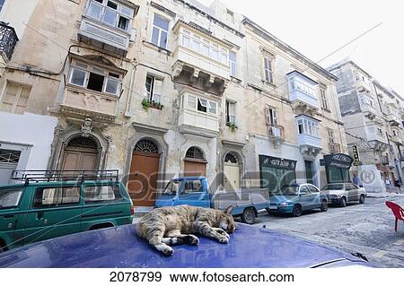 Cat Sleeping On A Parked Car, Valletta, Malta View Large Photo Image Stock Photo - Cat Sleeping On A Parked Car, Valletta, Malta. Fotosearch