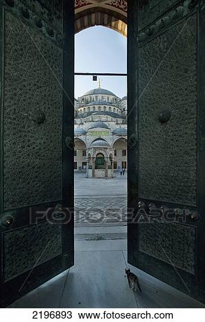 Cat walking through ornate door with mosque in background View Large Photo Image Stock Image - Cat walking through ornate door with mosque in background. Fotosearch