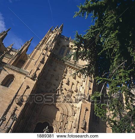 Stock Image - Cathedral Nueva, Low Angle View. Fotosearch