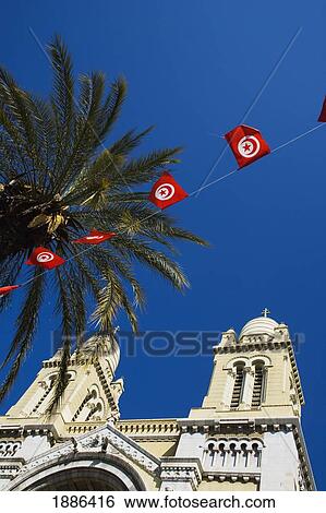 Stock Photograph - Cathedral Of St Vincent De Paul, Palm Tree, And Tunisia Flags. Fotosearch