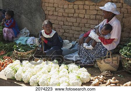 Cauliflower Seller At The Weekly Market In Fianarantsoa, Madagascar View Large Photo Image Stock Image - Cauliflower Seller At The Weekly Market In Fianarantsoa, Madagascar. Fotosearch
