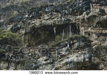 Stock Image - Cave On The Cliff, Sumidero Canyon, Chiapas, Mexico. Fotosearch