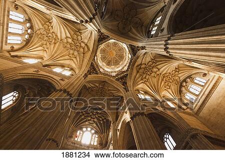 Picture - Ceiling And Dome Of The New Cathedral (Catedral Nueva); Salamanca, Salamanca Province, Spain. Fotosearch
