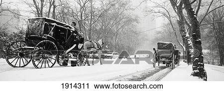 Central Park In Falling Snow View Large Photo Image Stock Image - Central Park In Falling Snow. Fotosearch