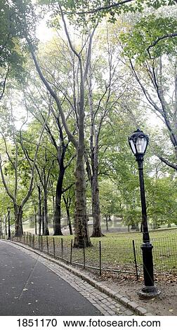 Stock Image - Central Park. Fotosearch