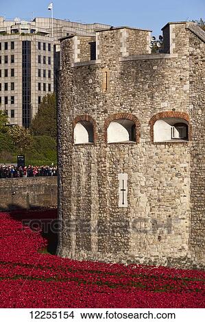 Ceramic poppies at the Tower of London commemorating the 100th anniversary of World War One; London, England View Large Photo Image Picture - Ceramic poppies at the Tower of London commemorating the 100th anniversary of World War One; London, England. Fotosearch
