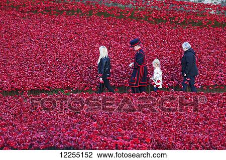 Stock Image - Ceramic poppies at the Tower of London commemorating the 100th anniversary of World War One; London, England. Fotosearch