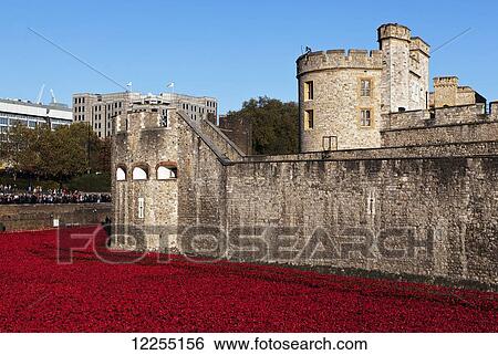 Ceramic poppies at the Tower of London commemorating the 100th anniversary of World War One; London, England View Large Photo Image Stock Photograph - Ceramic poppies at the Tower of London commemorating the 100th anniversary of World War One; London, England. Fotosearch