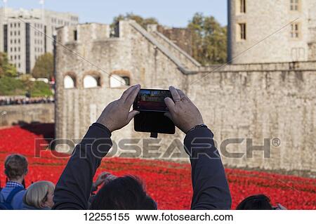 Stock Photography - Ceramic poppies at the Tower of London commemorating the 100th anniversary of World War One; London, England. Fotosearch