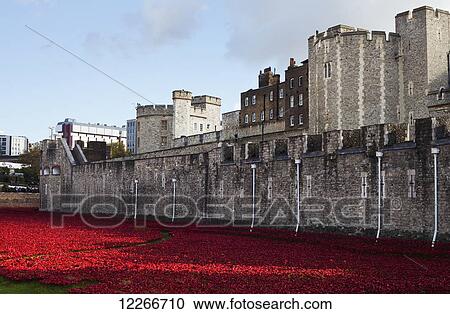 Stock Image - Ceramic poppies at the Tower of London's moat to mark the one hundred anniversary of the first world war; London, England. Fotosearch
