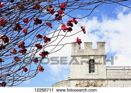 Ceramic poppies at the Tower of London's moat to mark the one hundred anniversary of the first world war; London, England View Large Photo Image Stock Image - Ceramic poppies at the Tower of London's moat to mark the one hundred anniversary of the first world war; London, England. Fotosearch