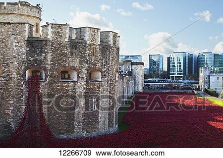 Stock Photo - Ceramic poppies at the Tower of London's moat to mark the one hundred anniversary of the first world war; London, England. Fotosearch