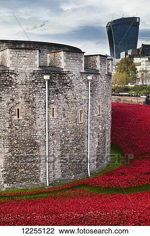 Stock Image - Ceramic poppies comemorating the fallen UK and Commonwealth soldiers of the First World War, the 100th anniversary of the begining of the war in 2014, Tower of London; London, England. Fotosearch