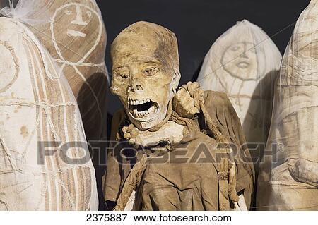 Stock Photo - Chachapoya mummy recovered from the cliff tombs of Laguna de los display at the Leymebamba Museum, Leymebamba, Amazonas, Peru. Fotosearch