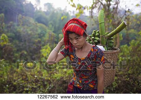 Chakma woman carrying basket of bananas; Khagrachari, Chittagong Division, Bangladesh View Large Photo Image Stock Image - Chakma woman carrying basket of bananas; Khagrachari, Chittagong Division, Bangladesh. Fotosearch