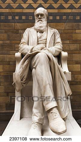 Stock Photo - Charles Darwin statue in The Natural History Museum; London, England. Fotosearch