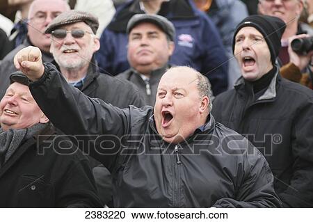 Stock Image - Cheering home their winning horse at Cheltenham horse racing Festival; Cheltenham, Gloucestershire, England. Fotosearch