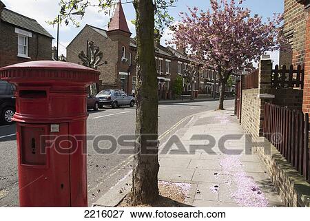 Cherry Blossom Tree And Red Uk Postal Box In North West London, England, Uk View Large Photo Image Stock Photo - Cherry Blossom Tree And Red Uk Postal Box In North West London, England, Uk. Fotosearch