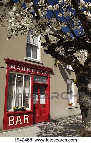 Cherry Blossom Tree Outside Irish Pub; Buttevant County Cork Ireland View Large Photo Image Stock Photo - Cherry Blossom Tree Outside Irish Pub; Buttevant County Cork Ireland. Fotosearch