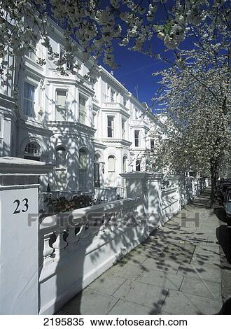 Stock Photography - Cherry Blossom Trees In Full Bloom, Palace Gardens Terrace, Kensington, London, Uk.. Fotosearch