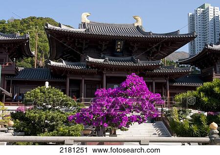 Chi Lin Nunnery, Kowloon, Hong Kong View Large Photo Image Stock Image - Chi Lin Nunnery, Kowloon, Hong Kong. Fotosearch