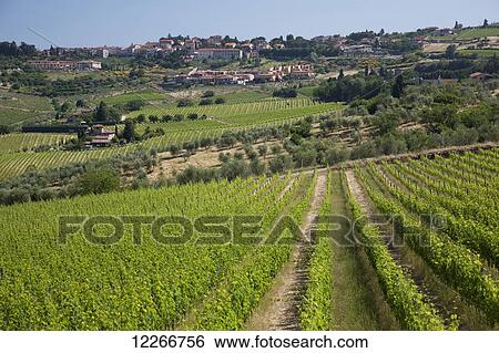 Stock Photograph - Chianti countryside; Greve, Chianti, Tuscany, Italy. Fotosearch