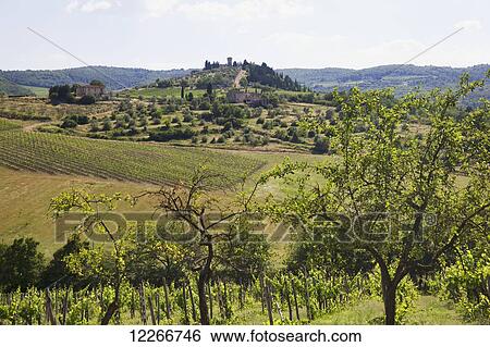 Chianti Countryside; Tuscany, Italy View Large Photo Image Stock Photograph - Chianti Countryside; Tuscany, Italy. Fotosearch