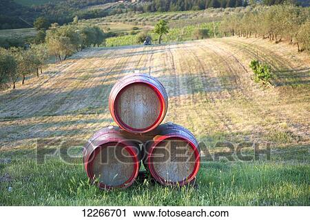 Chianti wine barrels; Tuscany, Italy View Large Photo Image Stock Image - Chianti wine barrels; Tuscany, Italy. Fotosearch