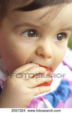 Child Eating Apple, Vancouver British Columbia View Large Photo Image Picture - Child Eating Apple, Vancouver British Columbia. Fotosearch