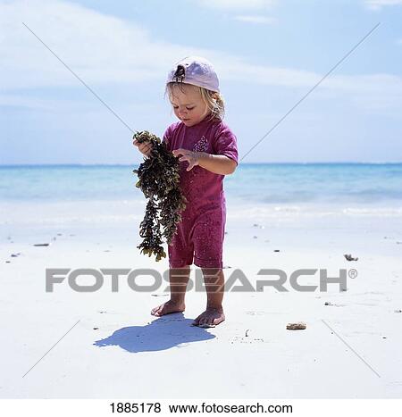 Stock Photo - Child Inspecting Seaweed On Beach. Fotosearch