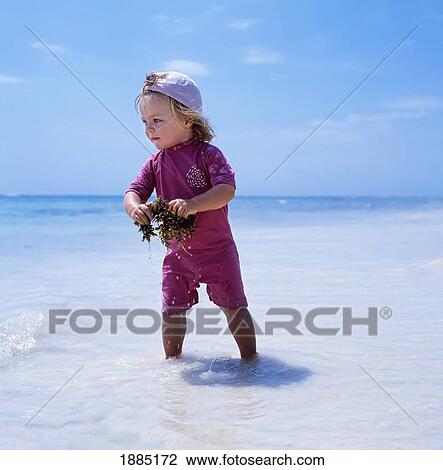 Stock Image - Child Wading In Water Holding Seaweed. Fotosearch